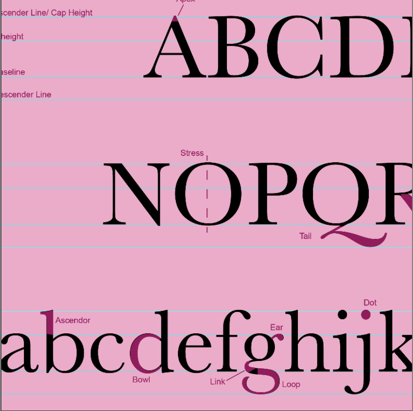 Parts of a font poster